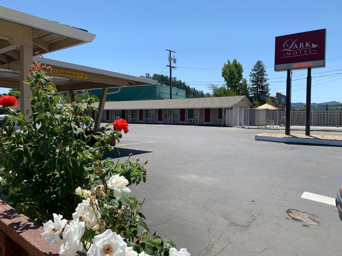 Lark Motel ウィリッツ エクステリア 写真